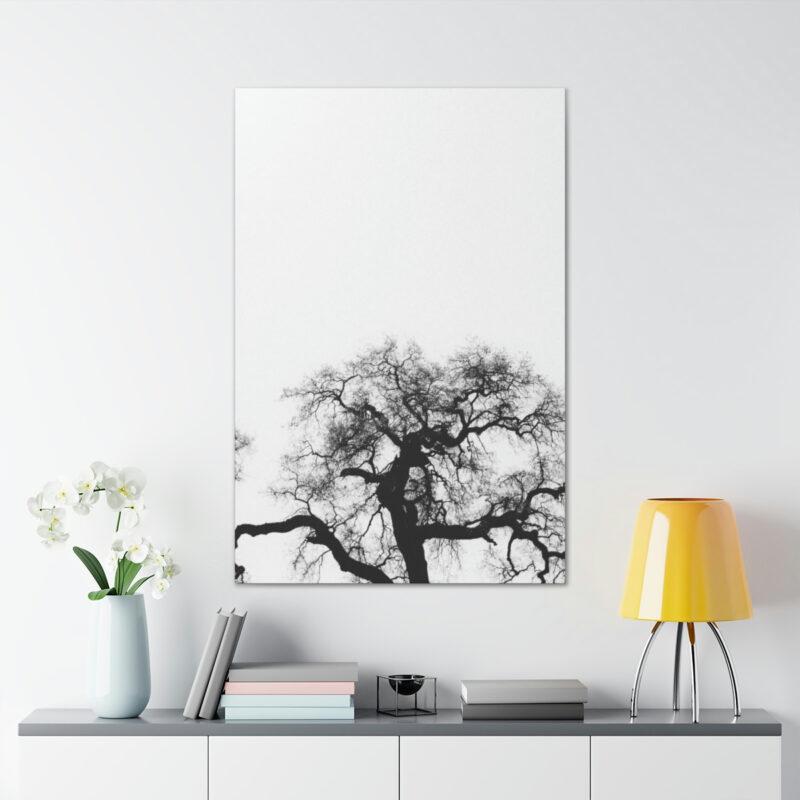 Image of a bare tree