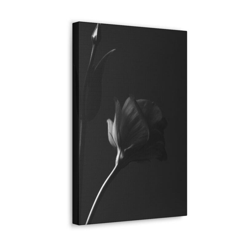 Flower black and white photo