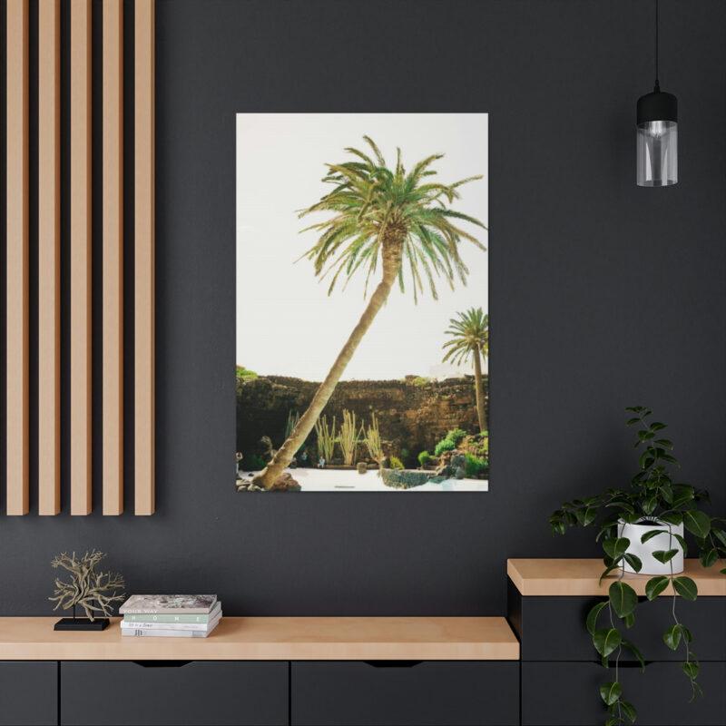 Palm tree photo