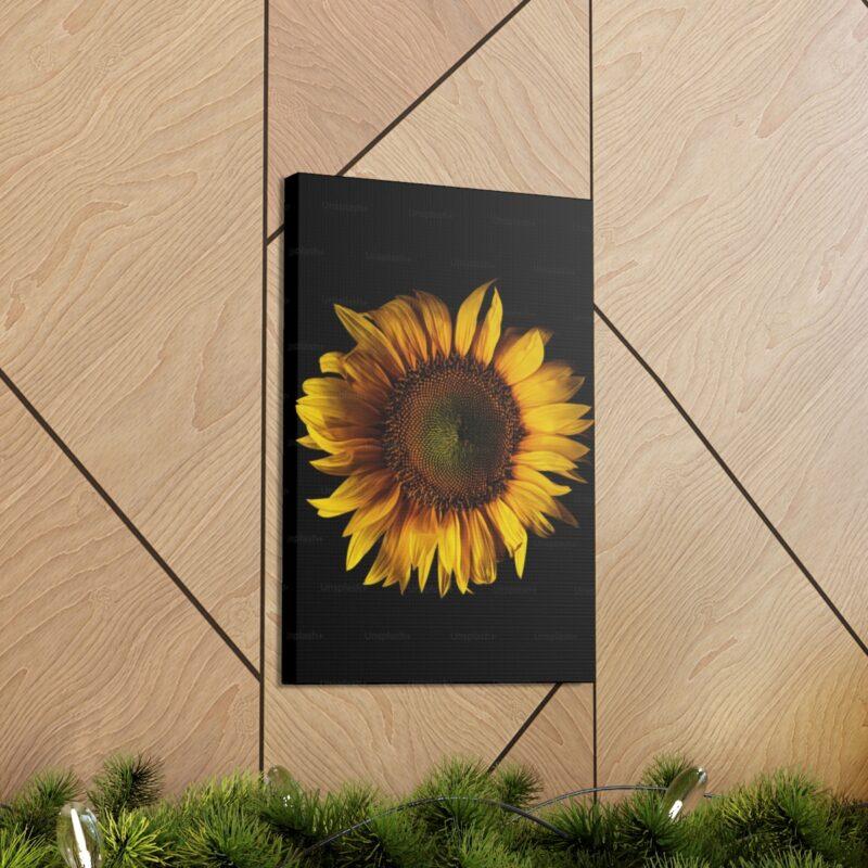 Photo of sunflower