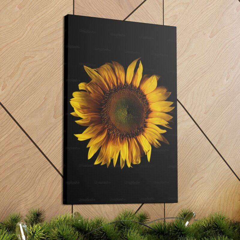 Photo of sunflower
