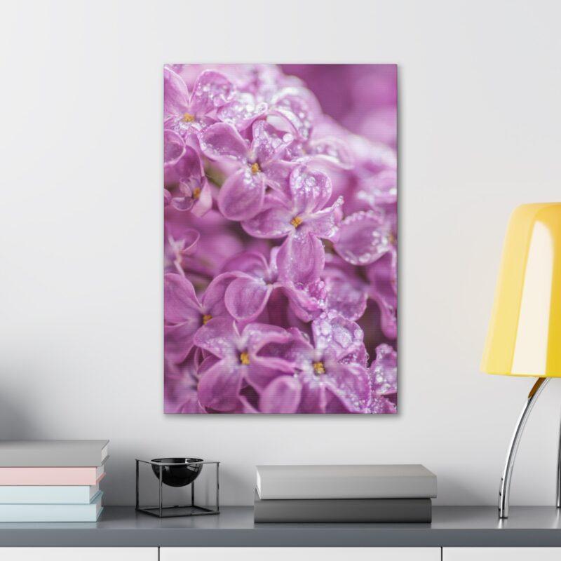 Purple flowers image