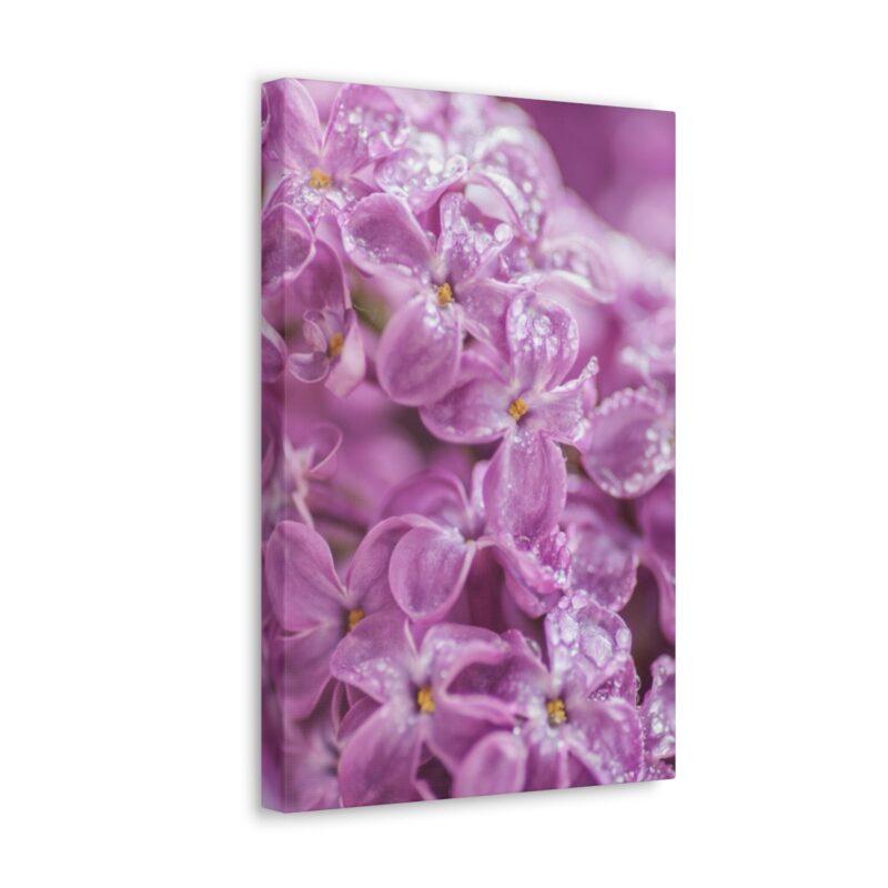 Purple flowers image