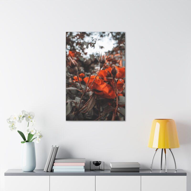 Trees with red leaves art