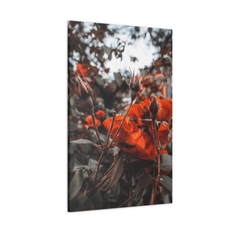 Trees with red leaves art