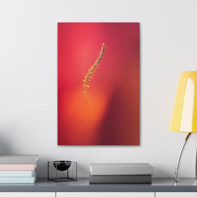 Yellow stem