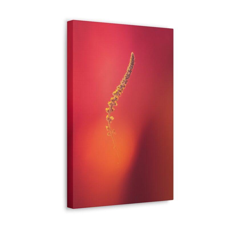 Yellow stem