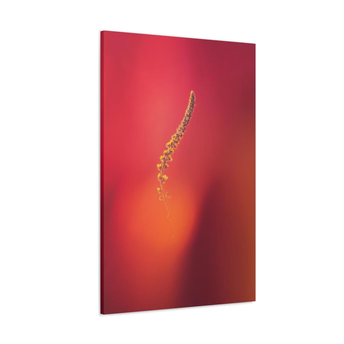 Yellow stem