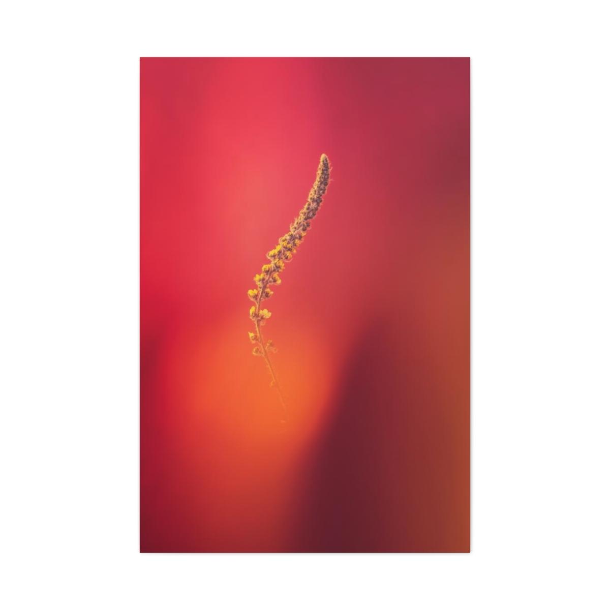 Yellow stem