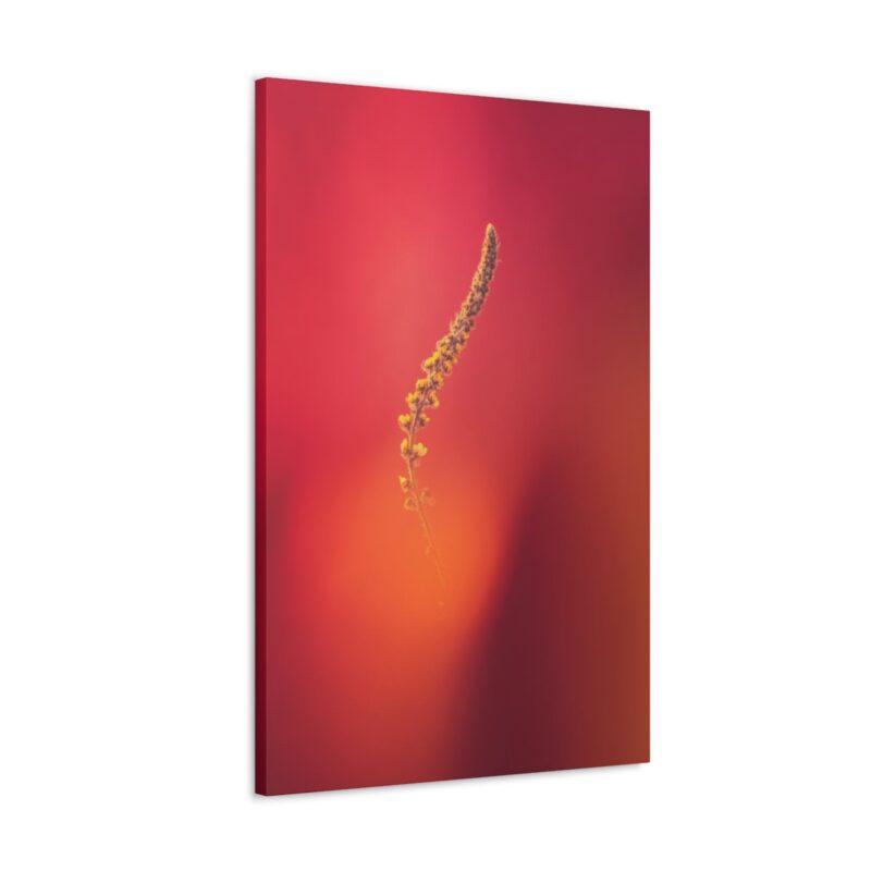 Yellow stem