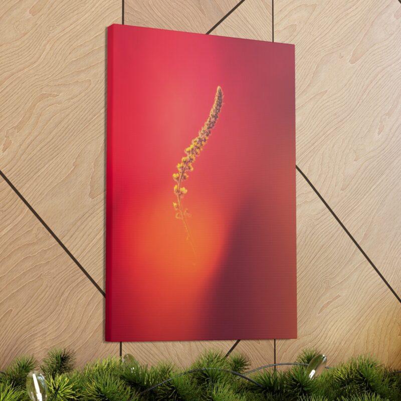 Yellow stem