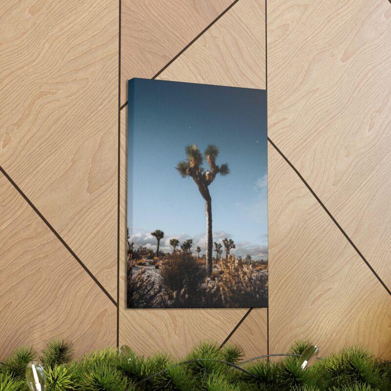 Picture of palm tree