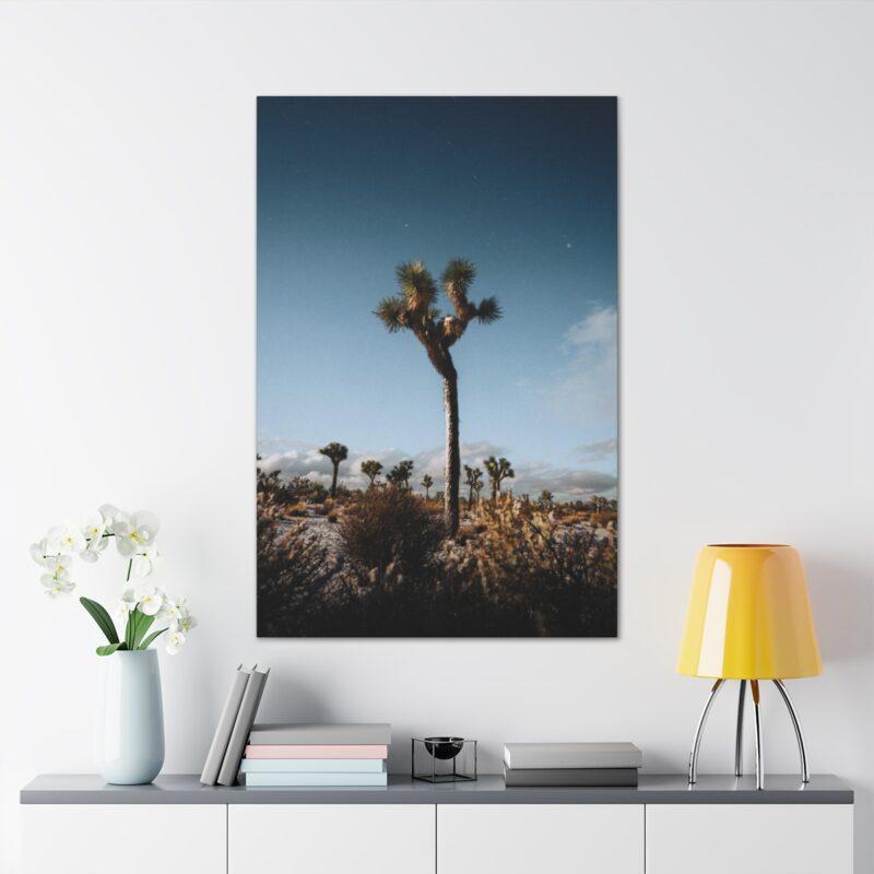 Picture of palm tree