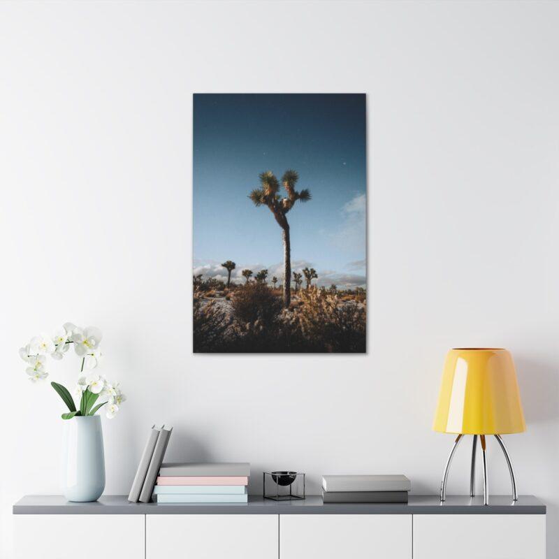 Picture of palm tree