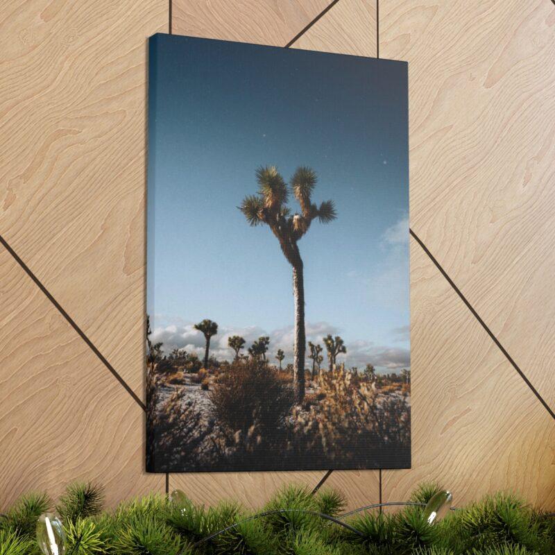 Picture of palm tree