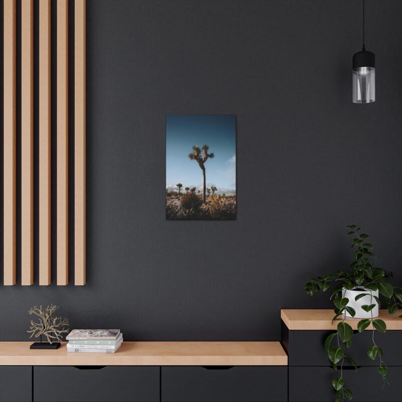 Picture of palm tree